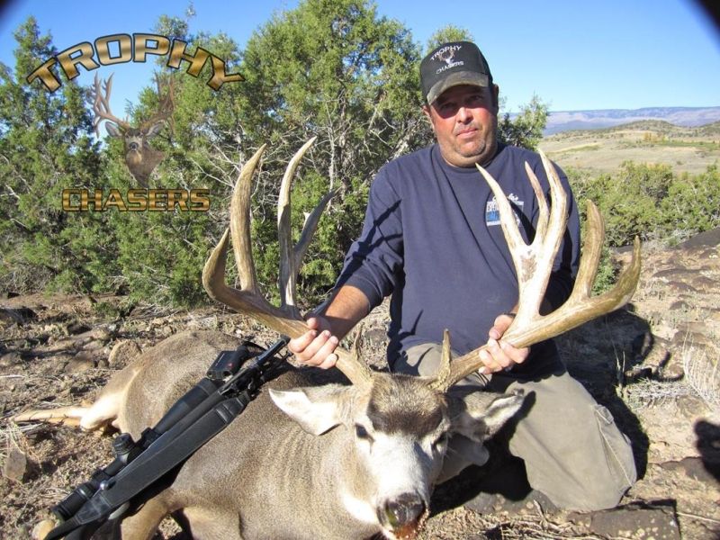 huge mule deer trophy chasers guided hunting  1 