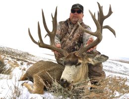 huge mule deer trophy chasers guided hunting  14 