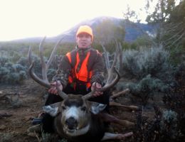huge mule deer trophy chasers guided hunting  26 