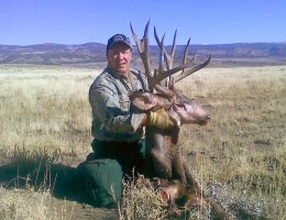 huge mule deer trophy chasers guided hunting  27 