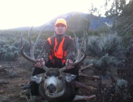 huge mule deer trophy chasers guided hunting  28 