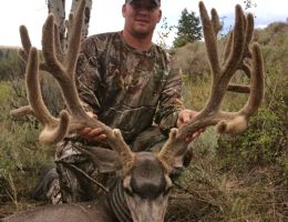 huge mule deer trophy chasers guided hunting  36 