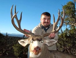 huge mule deer trophy chasers guided hunting  40 