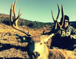 huge mule deer trophy chasers guided hunting  45 