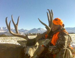 huge mule deer trophy chasers guided hunting  47 