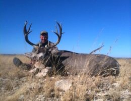huge mule deer trophy chasers guided hunting  49 