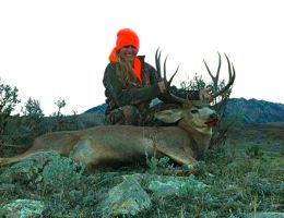 huge mule deer trophy chasers guided hunting  51 