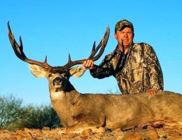 huge mule deer trophy chasers guided hunting  52 
