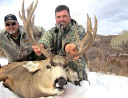 huge mule deer trophy chasers guided hunting  53 
