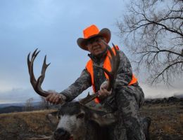 huge mule deer trophy chasers guided hunting  54 