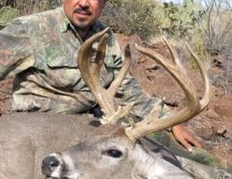 huge mule deer trophy chasers guided hunting  61 