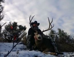 huge mule deer trophy chasers guided hunting  66 