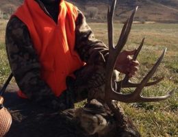 huge mule deer trophy chasers guided hunting  71 