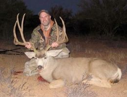 huge mule deer trophy chasers guided hunting  73 