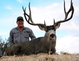 huge mule deer trophy chasers guided hunting  74 