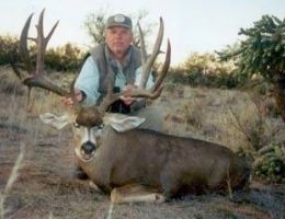 huge mule deer trophy chasers guided hunting  75 