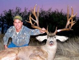 huge mule deer trophy chasers guided hunting  76 