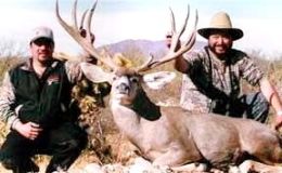 huge mule deer trophy chasers guided hunting  81 