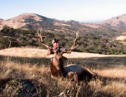 huge elk trophy chasers guided hunting and outfitter  19 