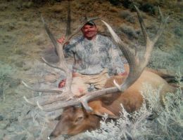 huge elk trophy chasers guided hunting and outfitter  23 