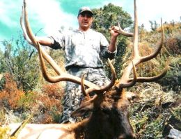 huge elk trophy chasers guided hunting and outfitter  31 