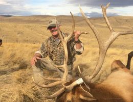 huge elk trophy chasers guided hunting and outfitter  35 