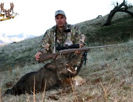 trophy chasers boar hunting 1