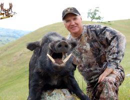trophy chasers boar hunting 4
