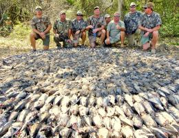 trophy chasers guided hunting dove experts  6 