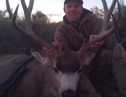 huge mule deer trophy chasers guided hunting  31 