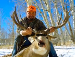huge mule deer trophy chasers guided hunting  43 