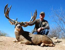 huge mule deer trophy chasers guided hunting  44 