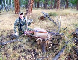 huge elk trophy chasers guided hunting and outfitter  22 