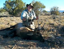 huge elk trophy chasers guided hunting and outfitter  30 