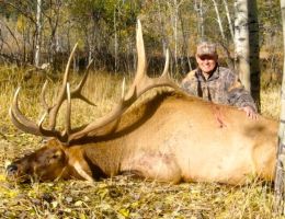 huge elk trophy chasers guided hunting and outfitter  32 