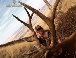 huge elk trophy chasers guided hunting and outfitter  33 