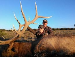huge elk trophy chasers guided hunting and outfitter  37 