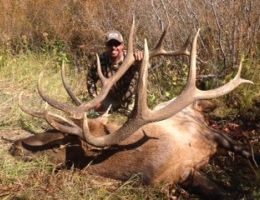 huge elk trophy chasers guided hunting and outfitter  40 