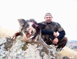 trophy chasers ca wild boar hunt