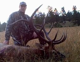 trophy huge elk hunting picture trophy chasers  4 