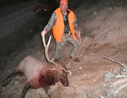 trophy huge elk hunting picture trophy chasers  5 