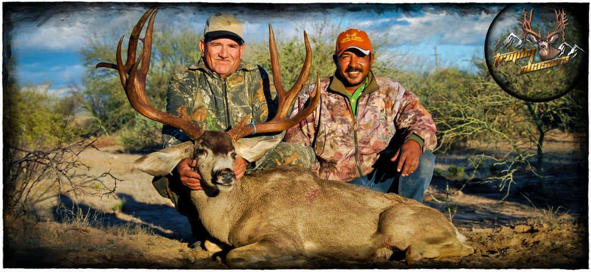 Mexico Trophy Chasers Dove Hunt